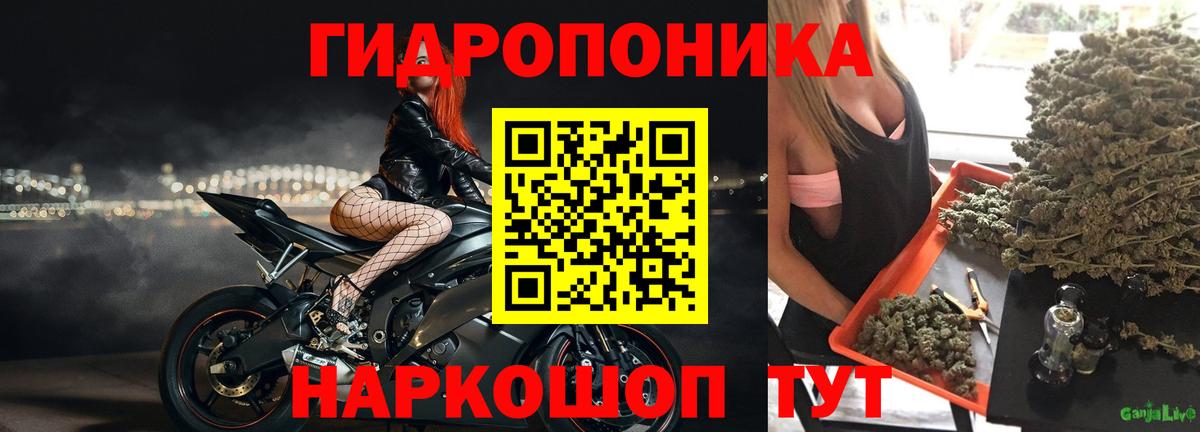 МАРИХУАНА гибрид Горячий Ключ
